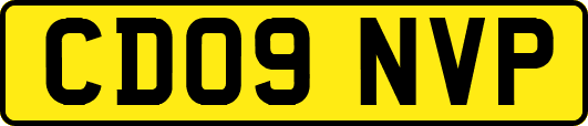 CD09NVP