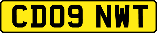 CD09NWT