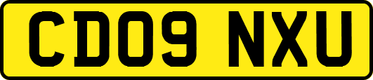 CD09NXU