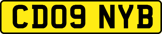 CD09NYB