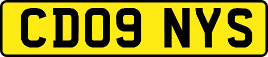 CD09NYS