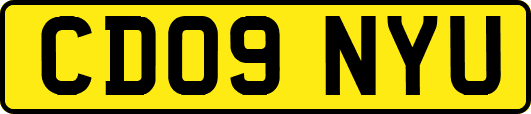 CD09NYU