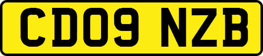 CD09NZB
