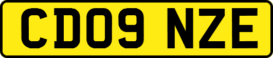 CD09NZE