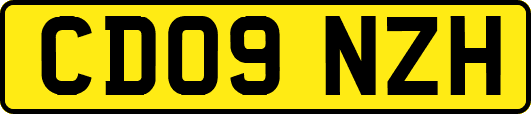 CD09NZH