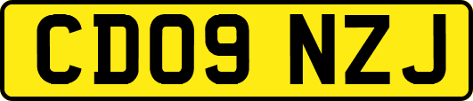 CD09NZJ