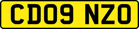 CD09NZO