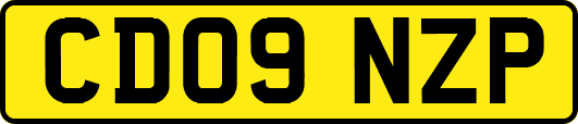 CD09NZP