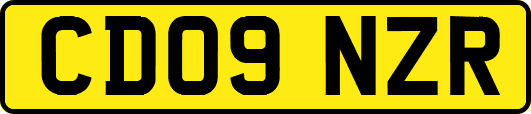 CD09NZR