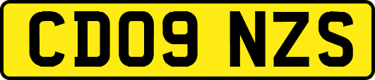 CD09NZS