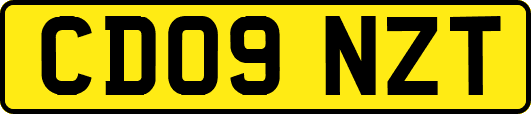 CD09NZT