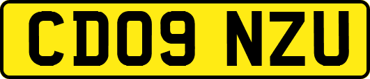 CD09NZU
