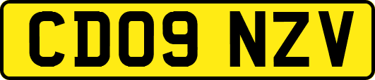 CD09NZV