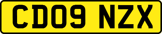 CD09NZX