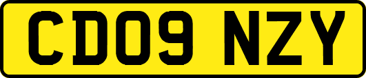 CD09NZY