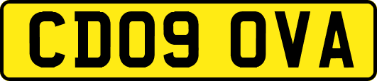 CD09OVA
