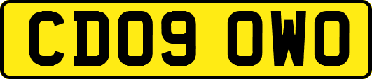 CD09OWO