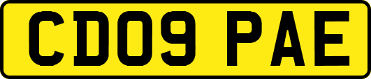 CD09PAE