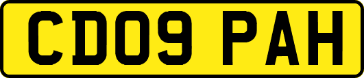 CD09PAH
