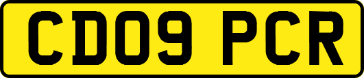 CD09PCR