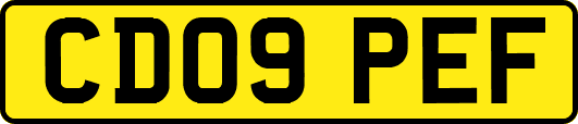 CD09PEF