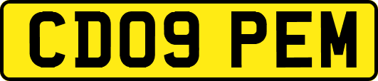 CD09PEM