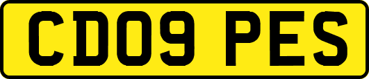 CD09PES