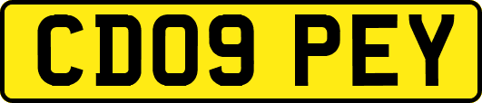 CD09PEY