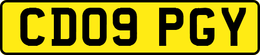 CD09PGY