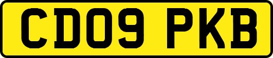 CD09PKB