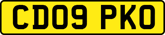CD09PKO