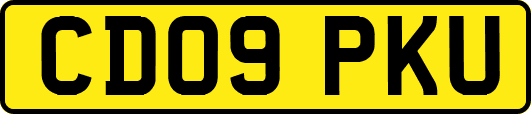 CD09PKU