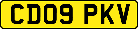 CD09PKV