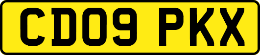 CD09PKX