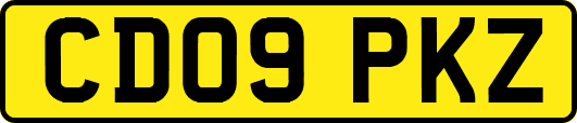 CD09PKZ