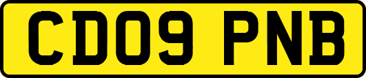 CD09PNB