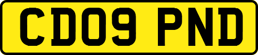 CD09PND