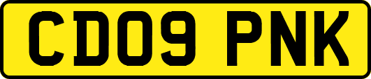 CD09PNK