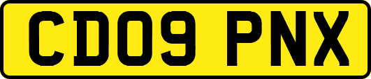 CD09PNX