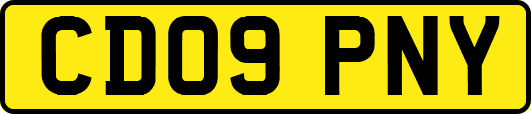 CD09PNY