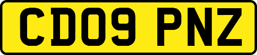 CD09PNZ