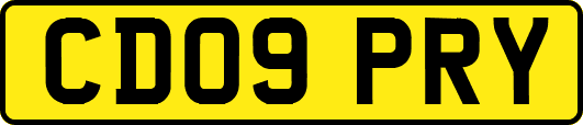 CD09PRY