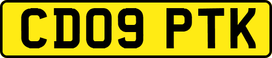 CD09PTK
