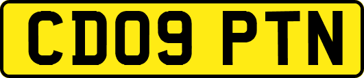 CD09PTN