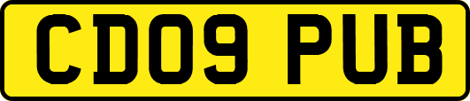 CD09PUB