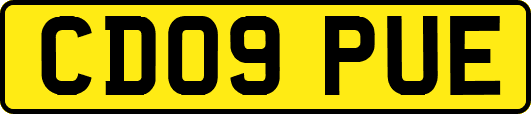 CD09PUE