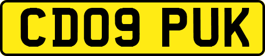 CD09PUK