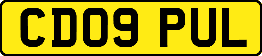 CD09PUL