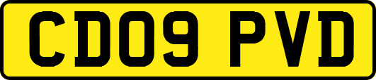 CD09PVD