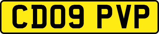 CD09PVP
